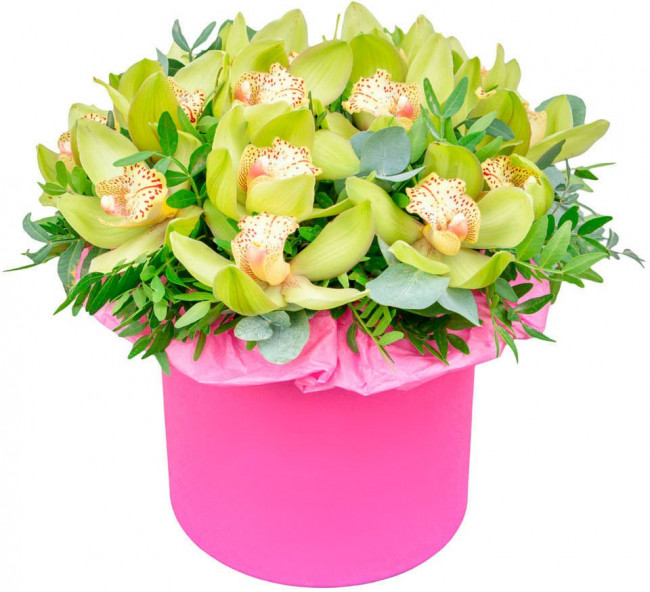 Шляпная коробка Анита Шляпная коробка Анита